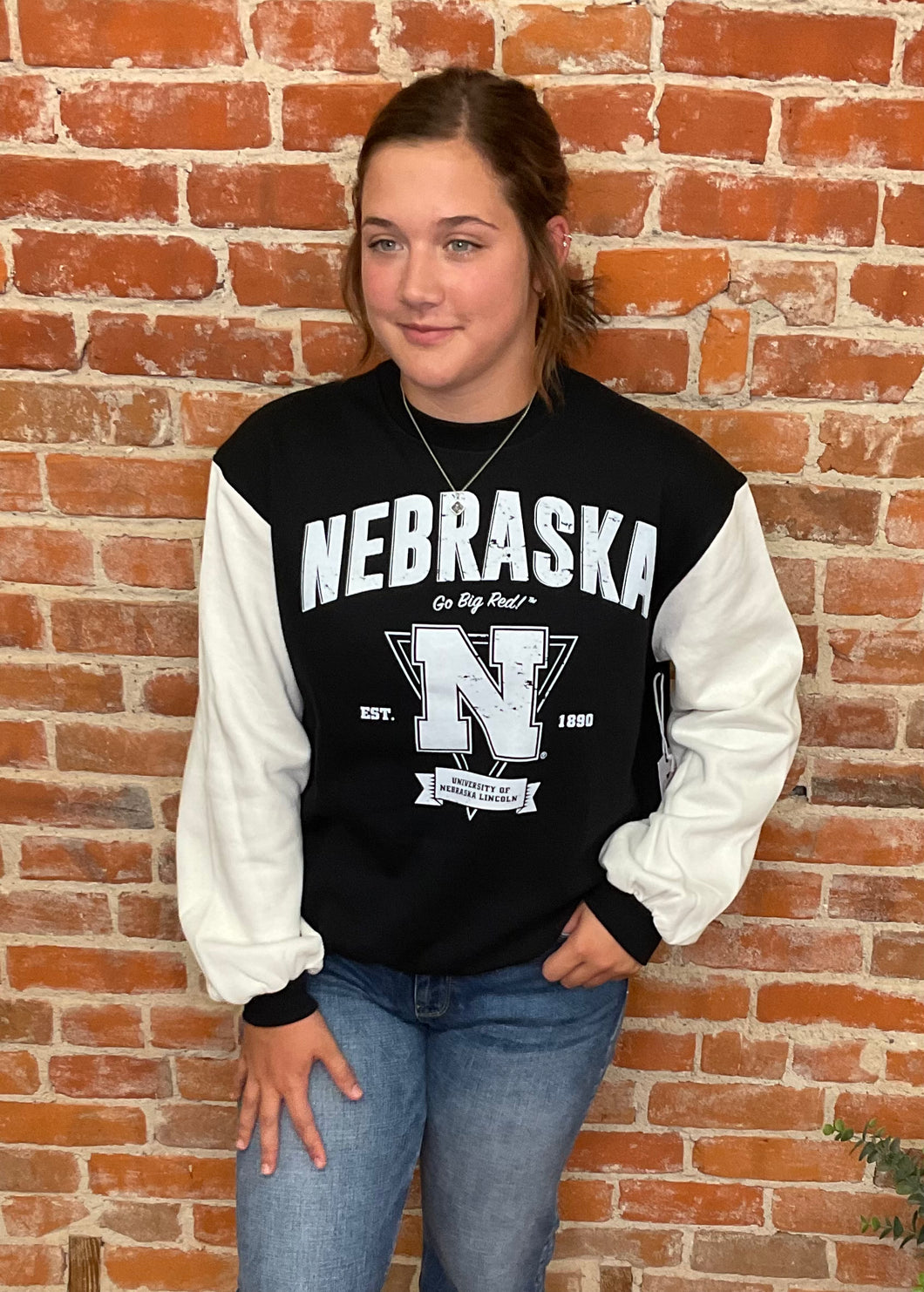 Black & White NE Triangle Crewneck