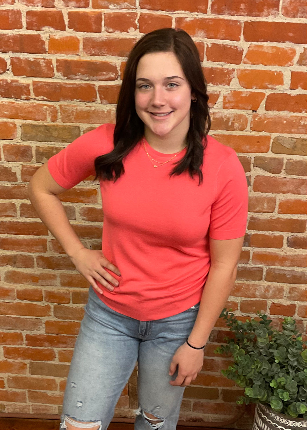 Coral Short Sleeve Sweater